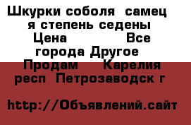 Шкурки соболя (самец) 1-я степень седены › Цена ­ 12 000 - Все города Другое » Продам   . Карелия респ.,Петрозаводск г.